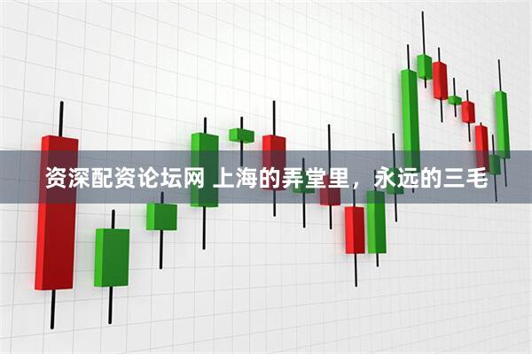 资深配资论坛网 上海的弄堂里，永远的三毛
