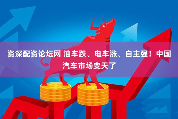 资深配资论坛网 油车跌、电车涨、自主强！中国汽车市场变天了